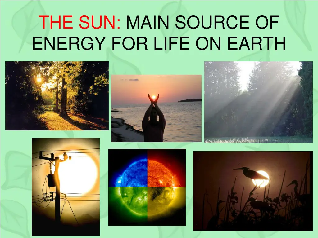 the sun main source of energy for life on earth