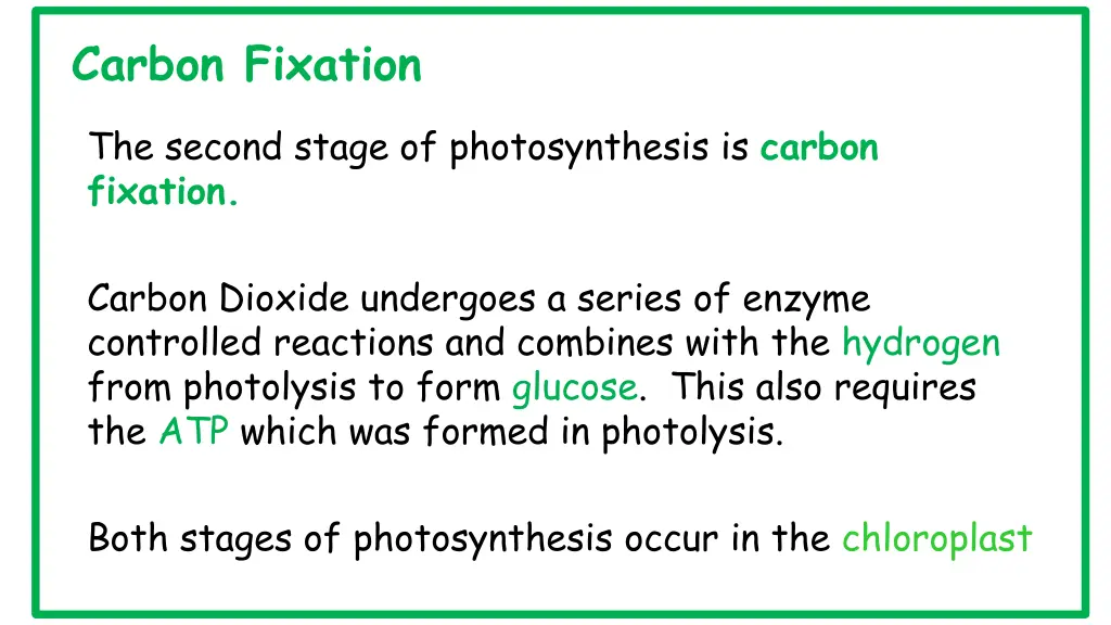 carbon fixation