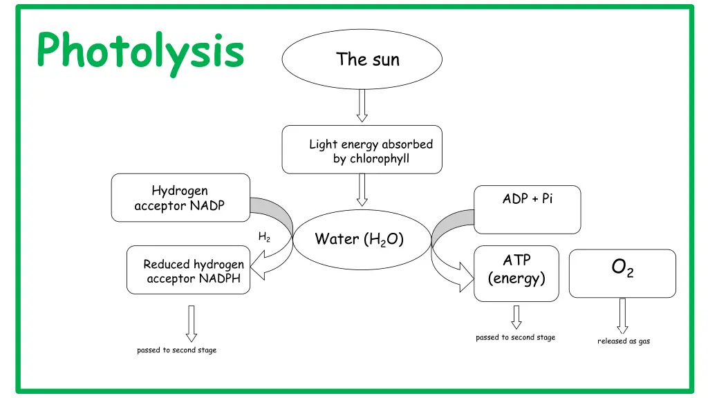 photolysis 1