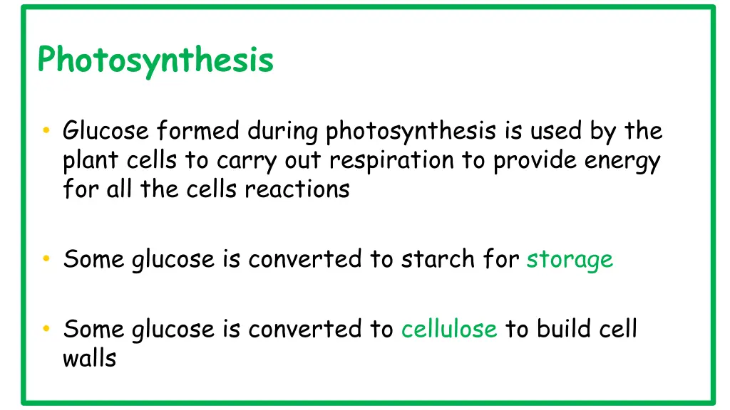 photosynthesis 1