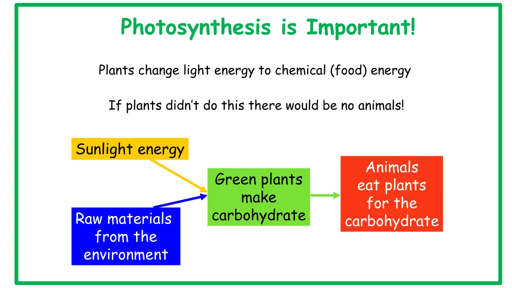 photosynthesis is important 1