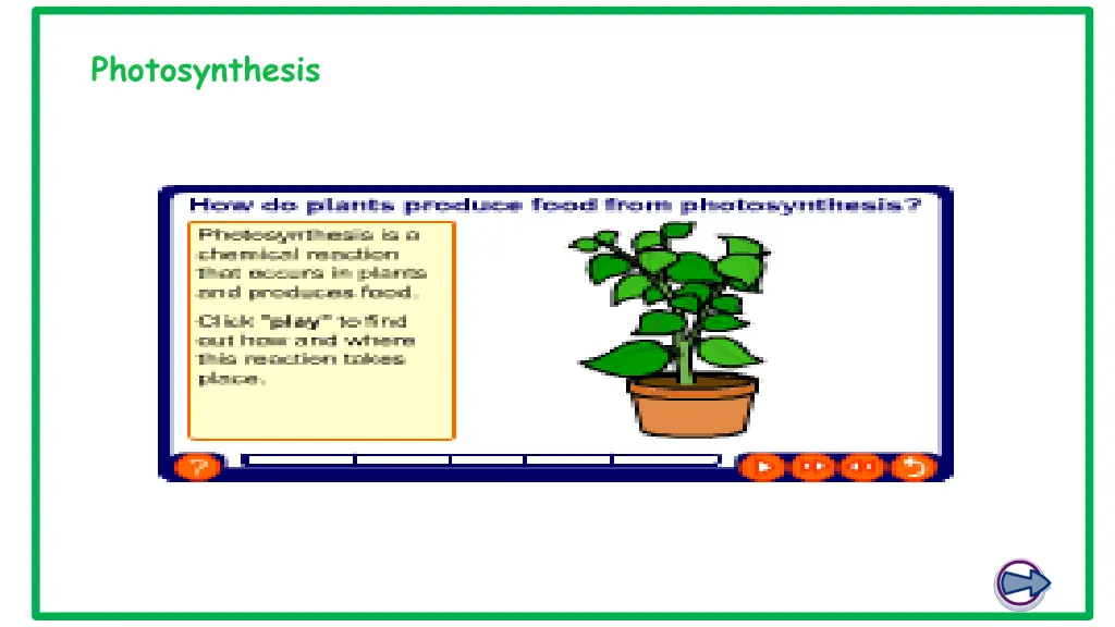 photosynthesis