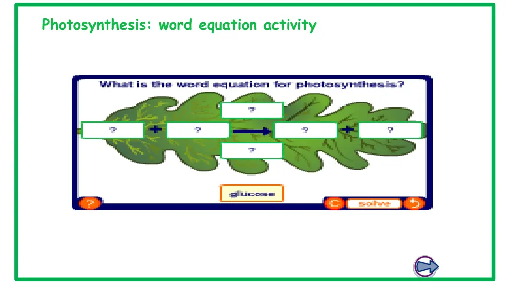 photosynthesis word equation activity