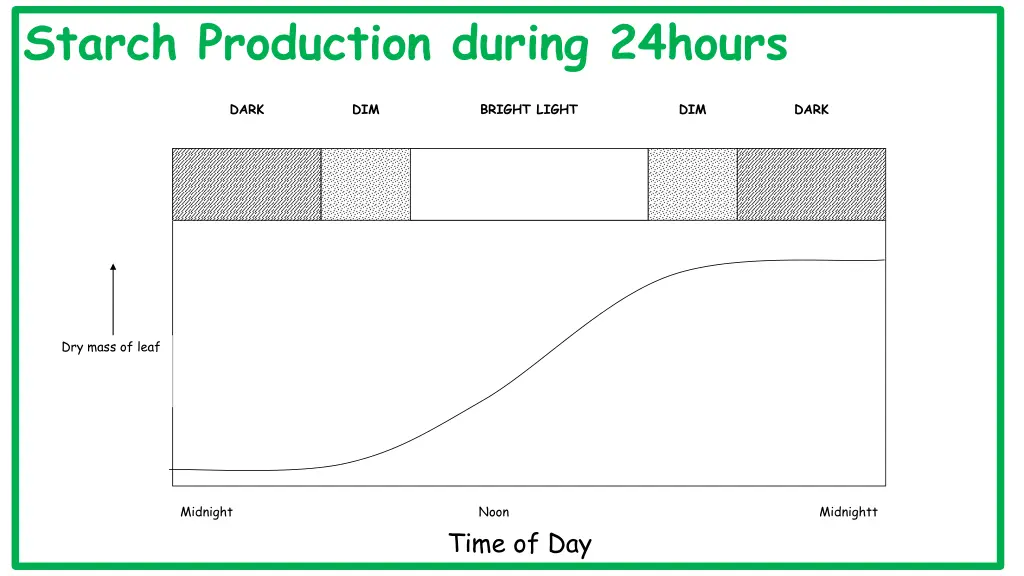 starch production during 24hours