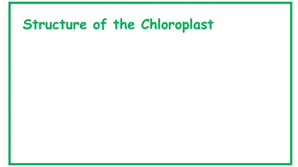 structure of the chloroplast