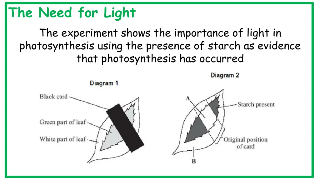 the need for light the experiment shows