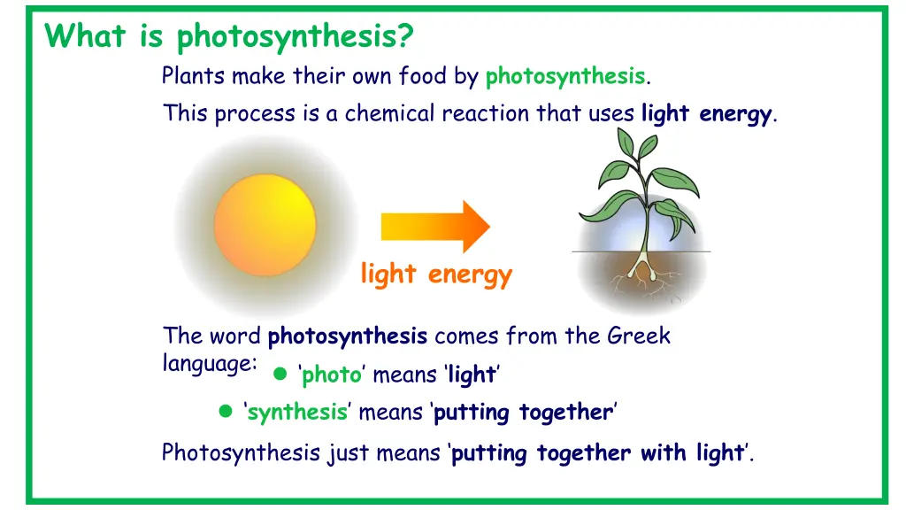 what is photosynthesis