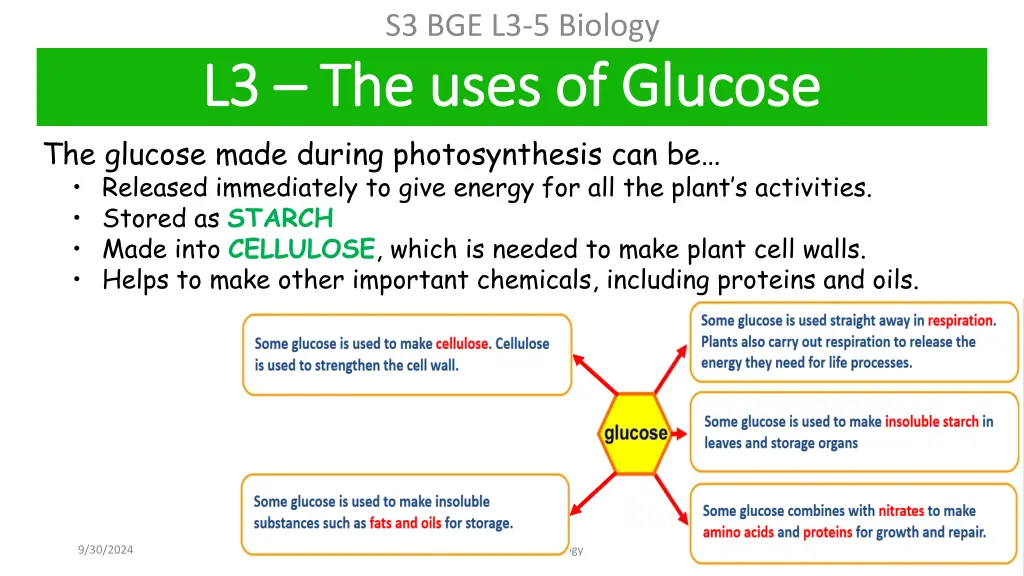 s3 bge l3 5 biology 2