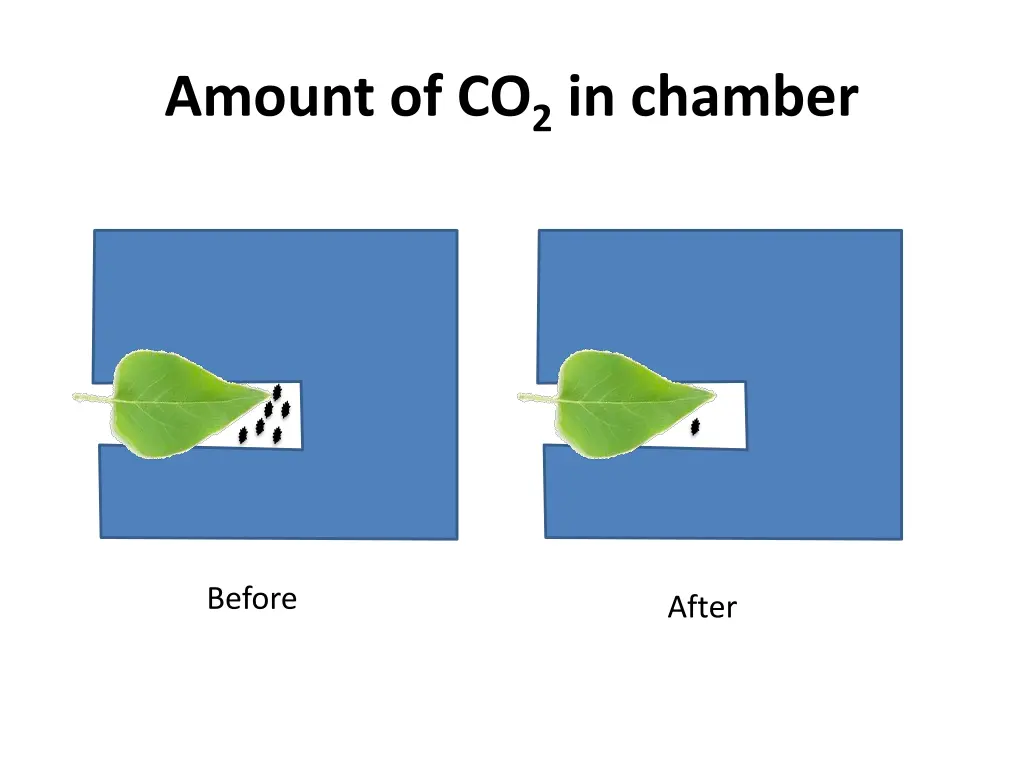 amount of co 2 in chamber