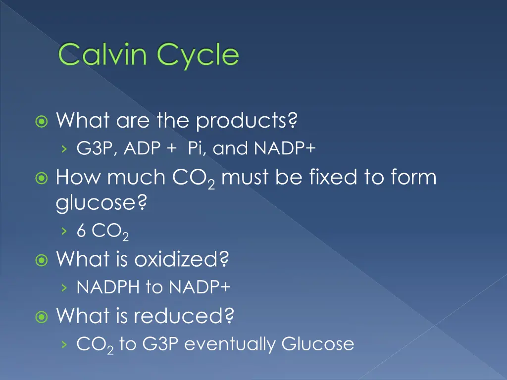 calvin cycle