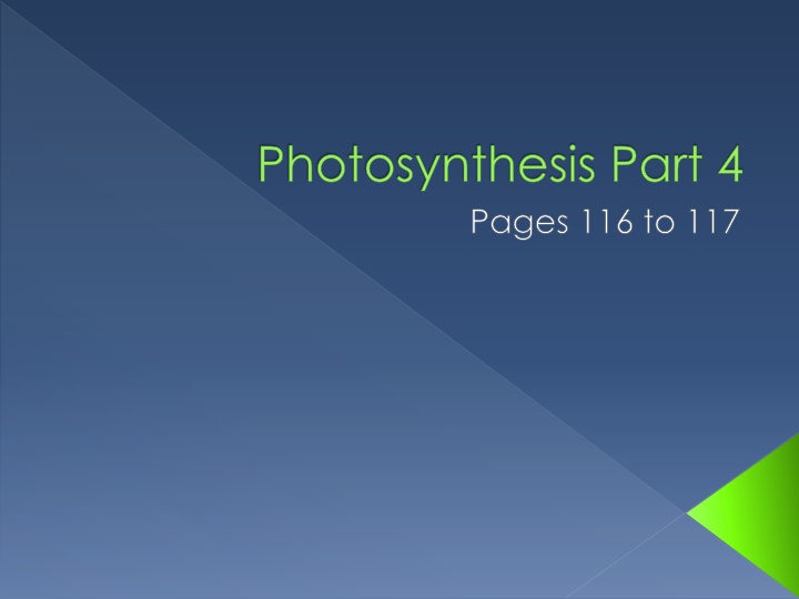 photosynthesis part 4 pages 116 to 117