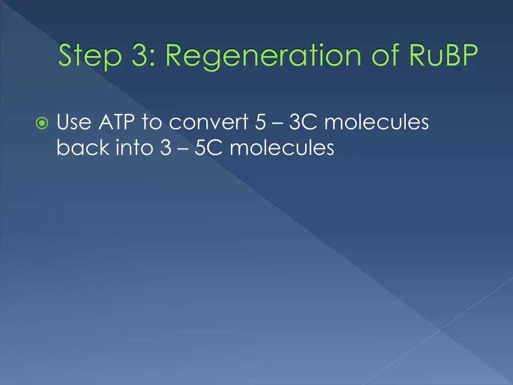 step 3 regeneration of rubp