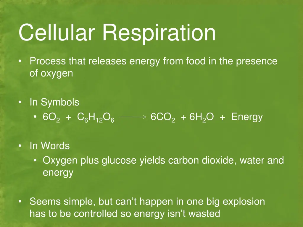 cellular respiration 1