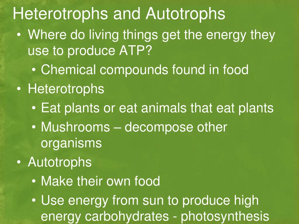 heterotrophs and autotrophs where do living