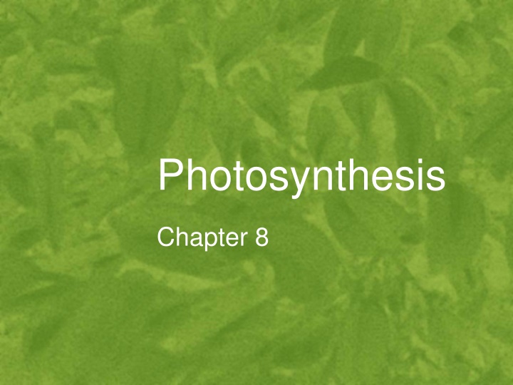 photosynthesis