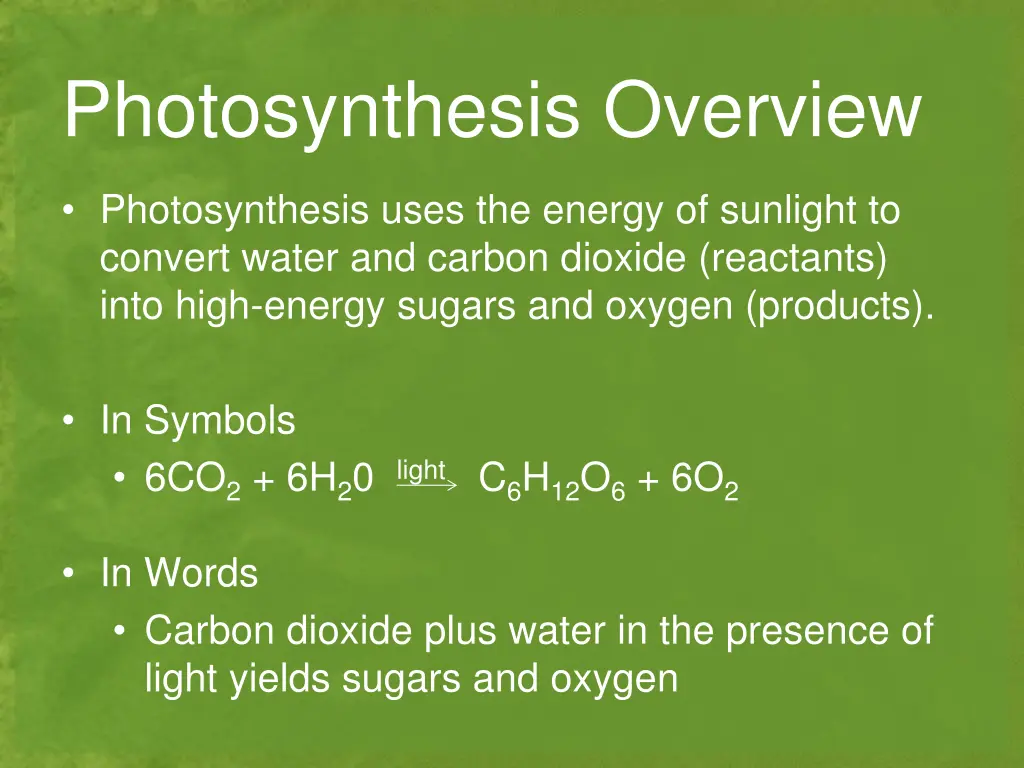 photosynthesis overview