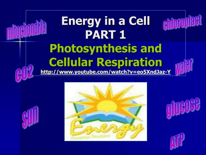 energy in a cell part 1 photosynthesis