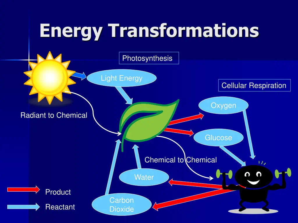 energy transformations 1