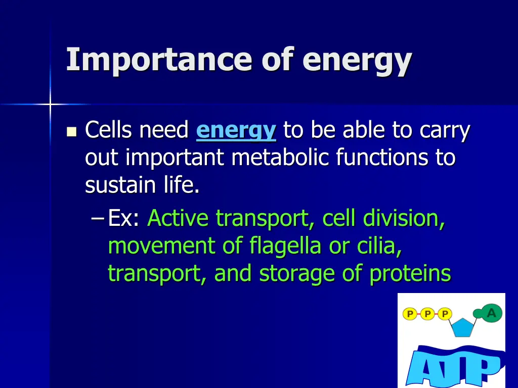 importance of energy