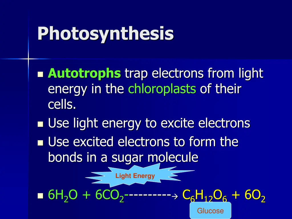 photosynthesis