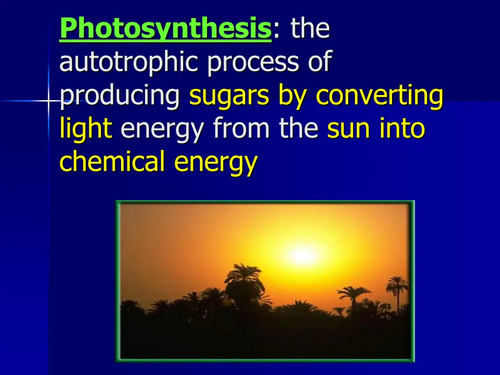 photosynthesis the autotrophic process