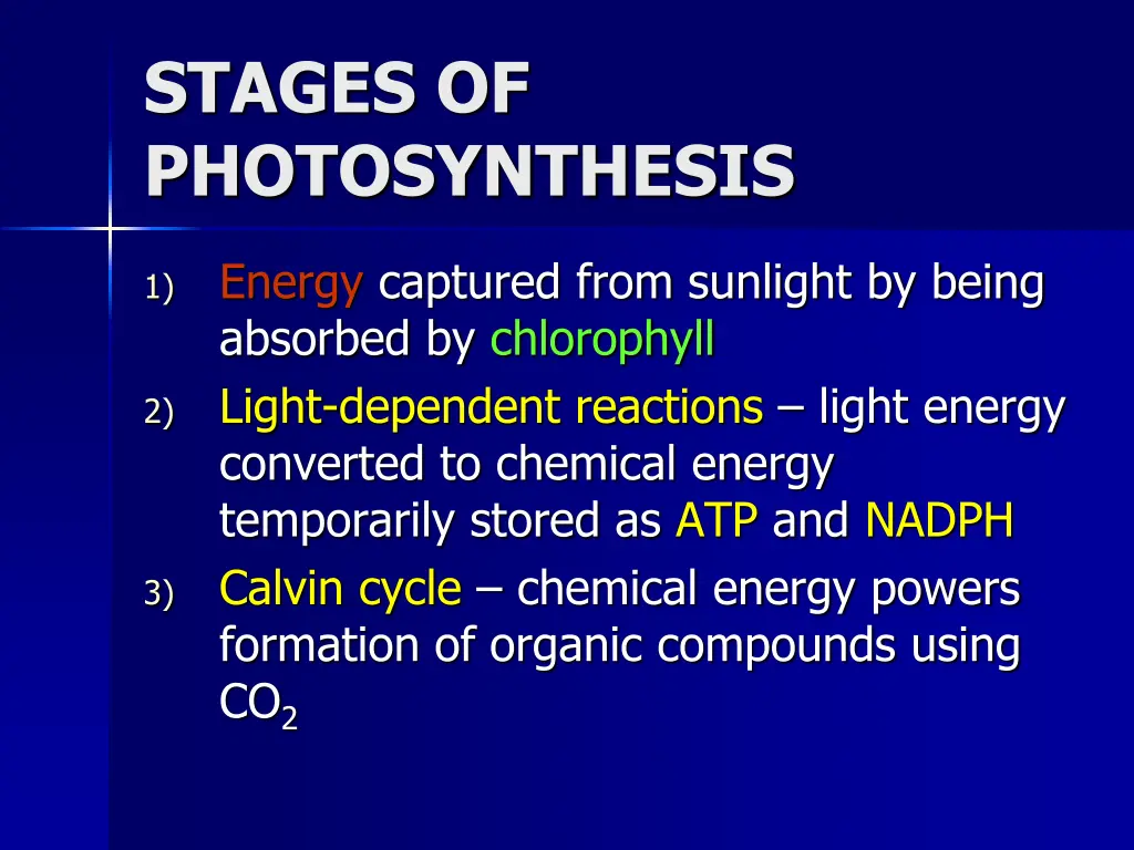 stages of photosynthesis