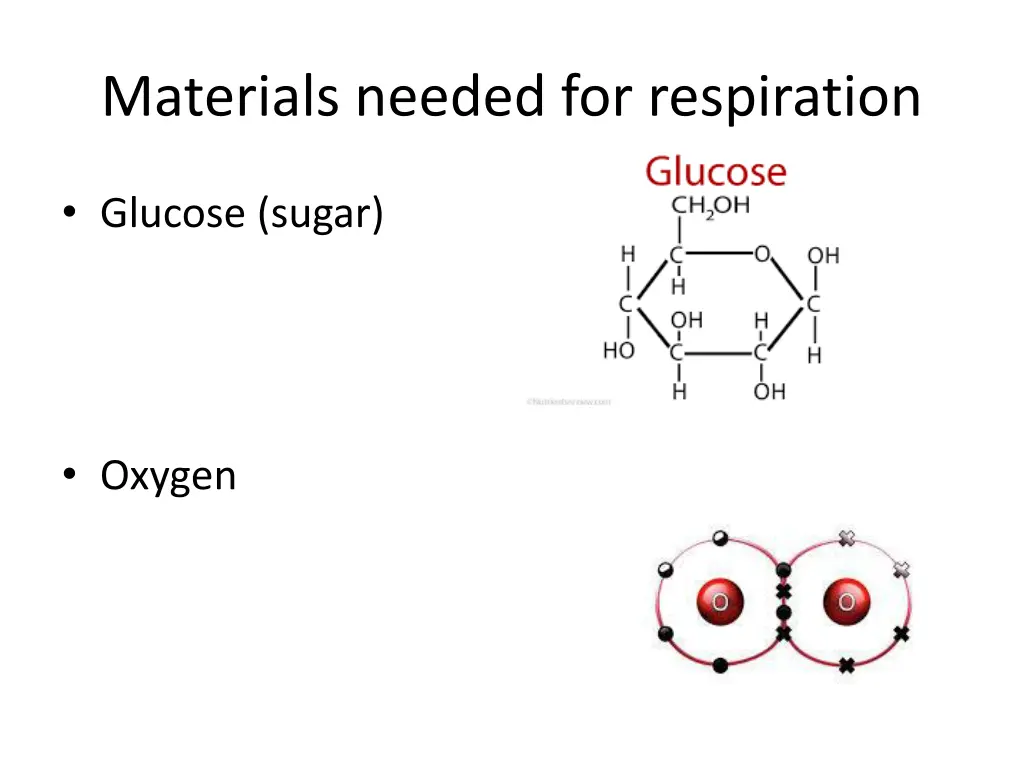 materials needed for respiration