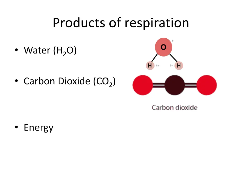 products of respiration