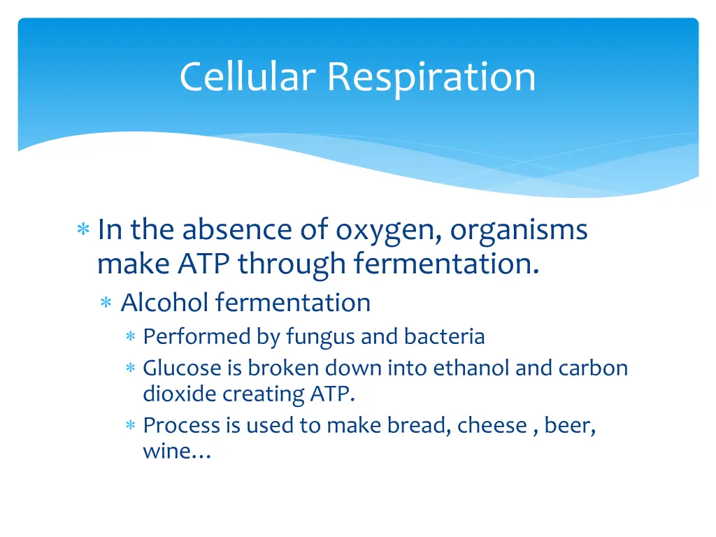 cellular respiration 1