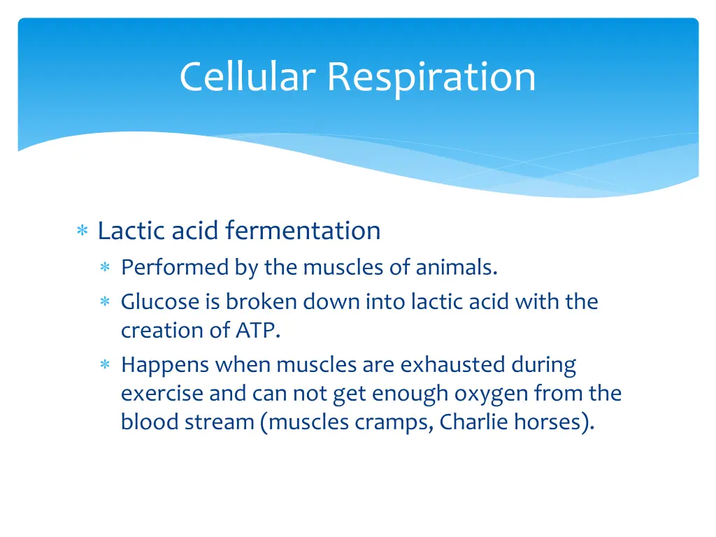 cellular respiration 2