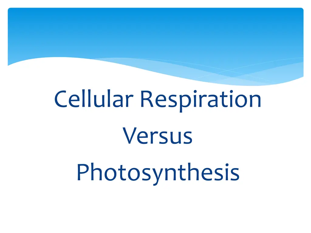 cellular respiration versus photosynthesis