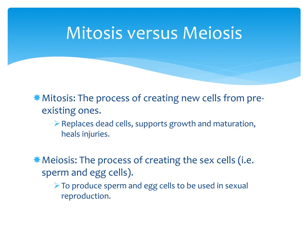 mitosis versus meiosis 1