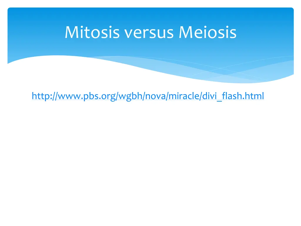 mitosis versus meiosis 3