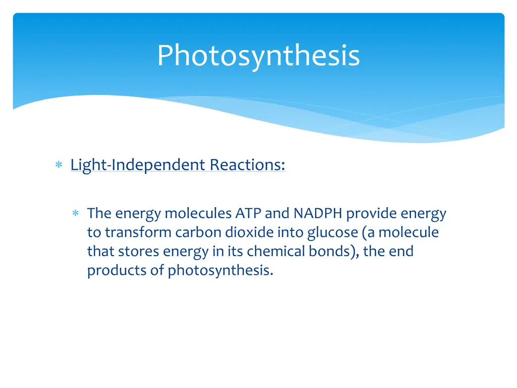 photosynthesis 1