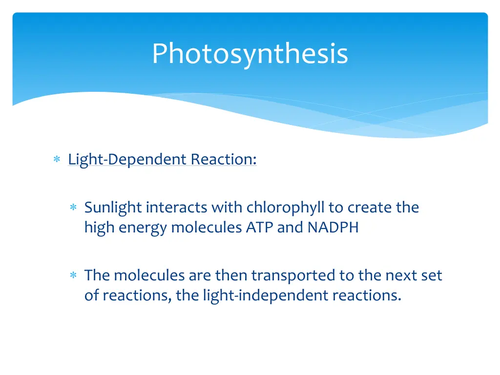 photosynthesis