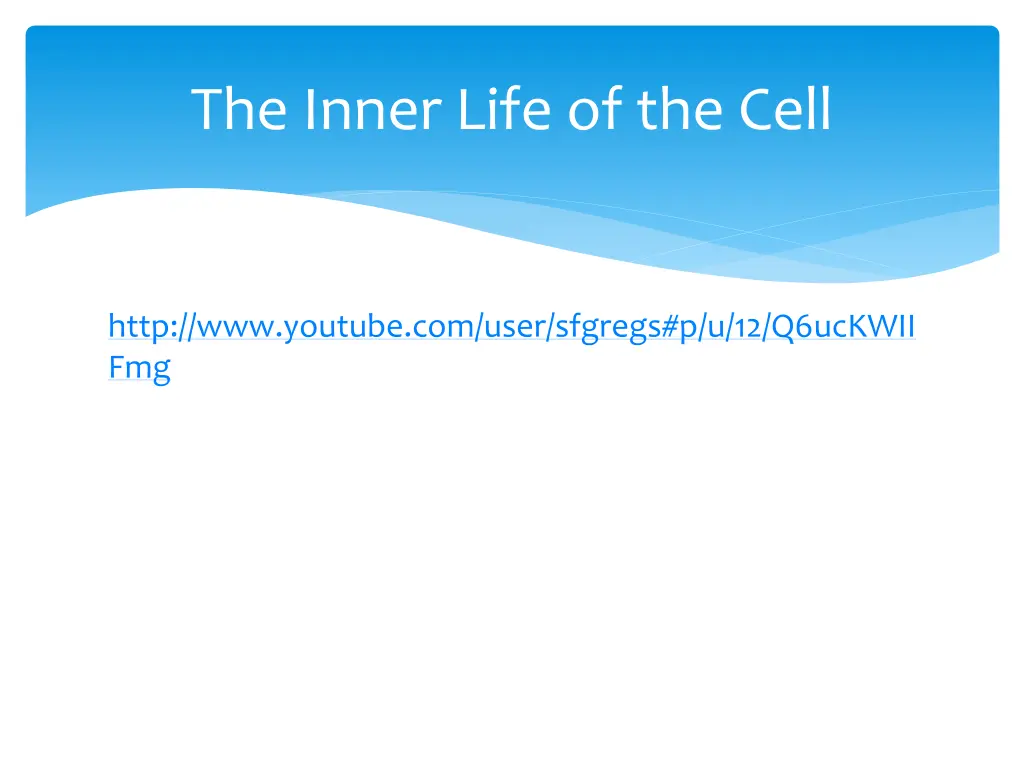 the inner life of the cell 1