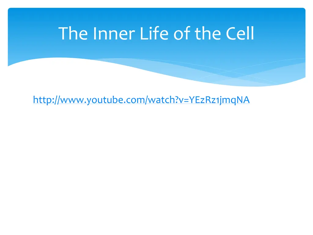 the inner life of the cell 2