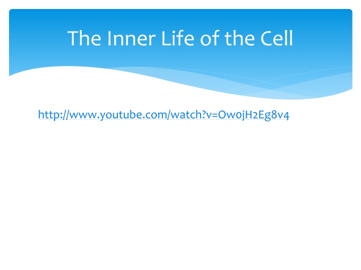 the inner life of the cell