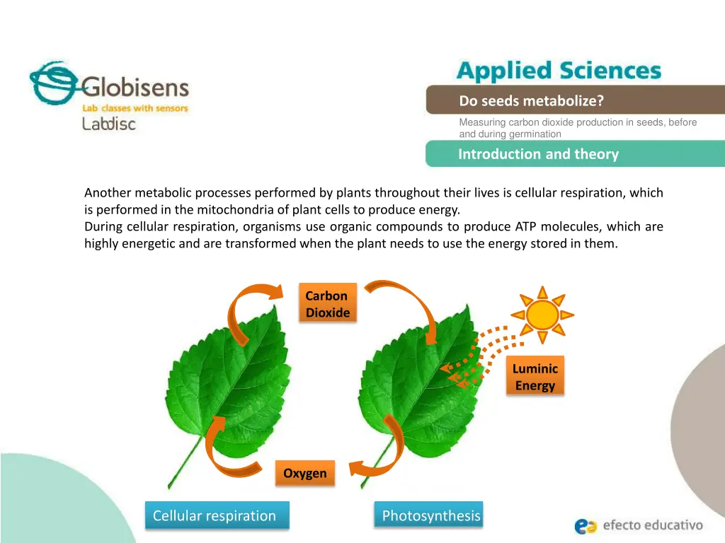 do seeds metabolize 5