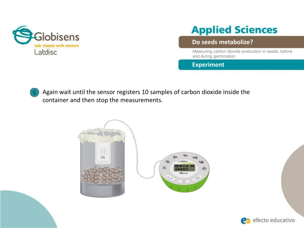 endothermic and exothermic reactions do seeds