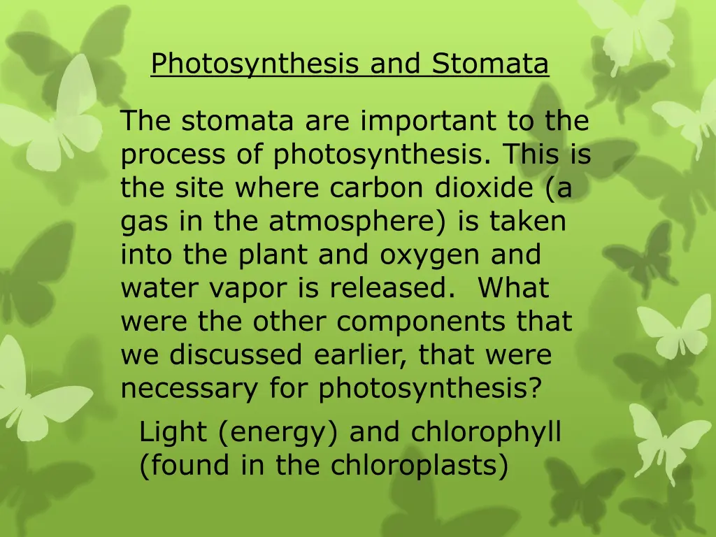 photosynthesis and stomata 1