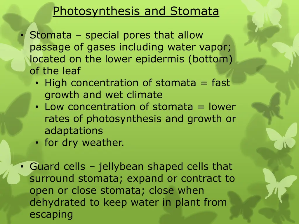 photosynthesis and stomata