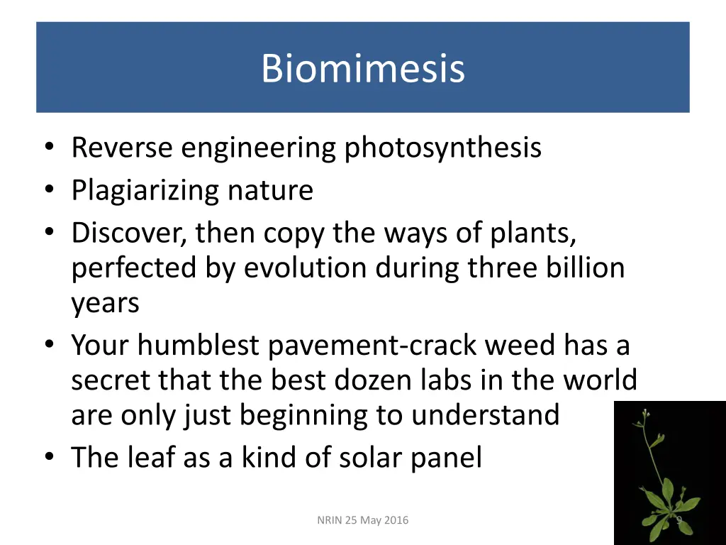 biomimesis