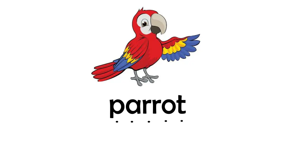 parrot