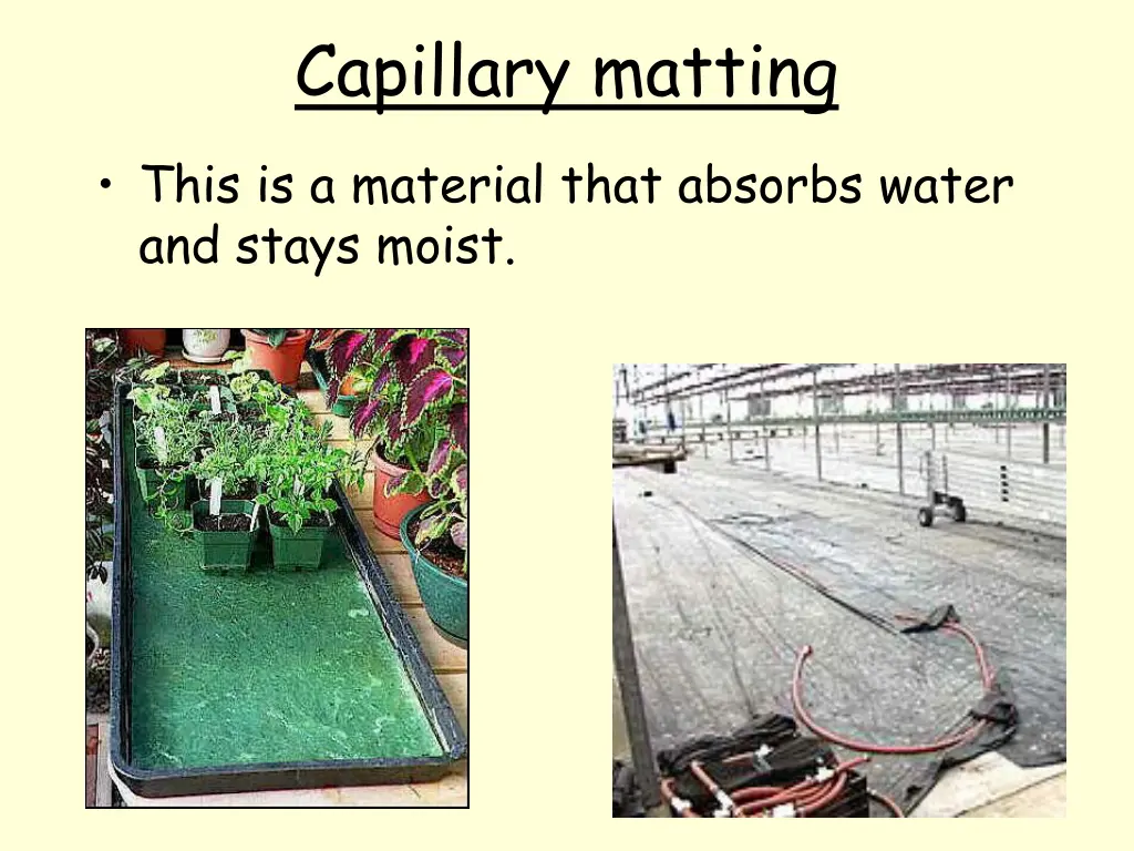 capillary matting