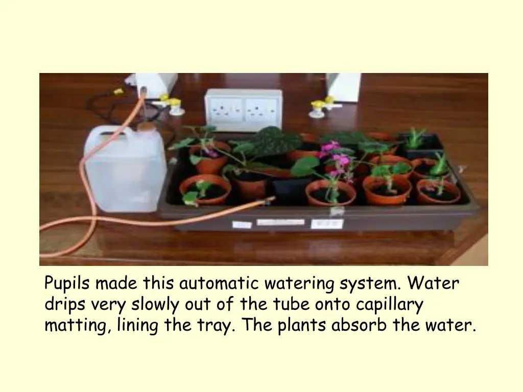 pupils made this automatic watering system water