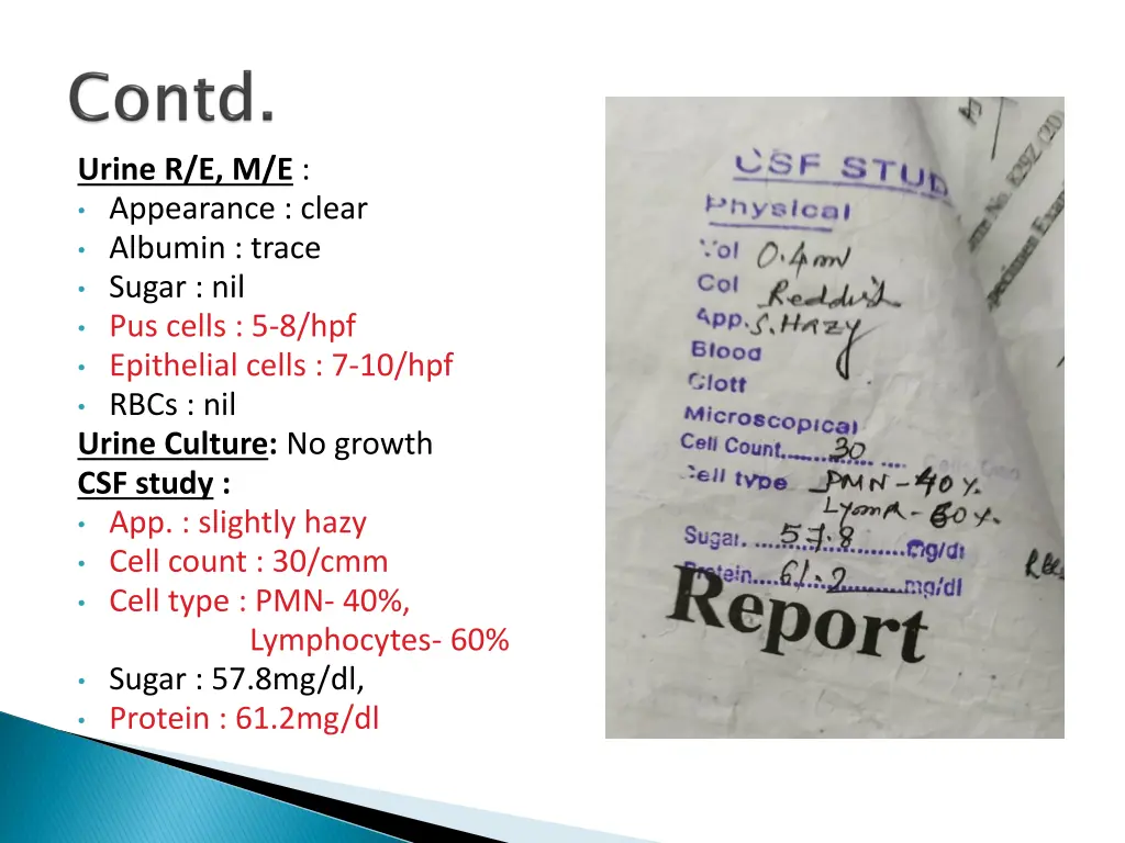 urine r e m e appearance clear albumin trace