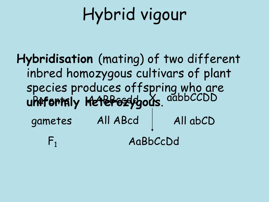 hybrid vigour