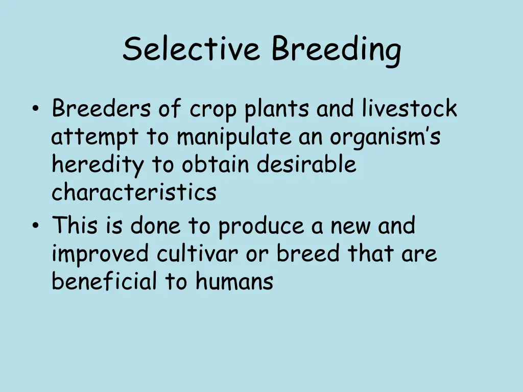 selective breeding