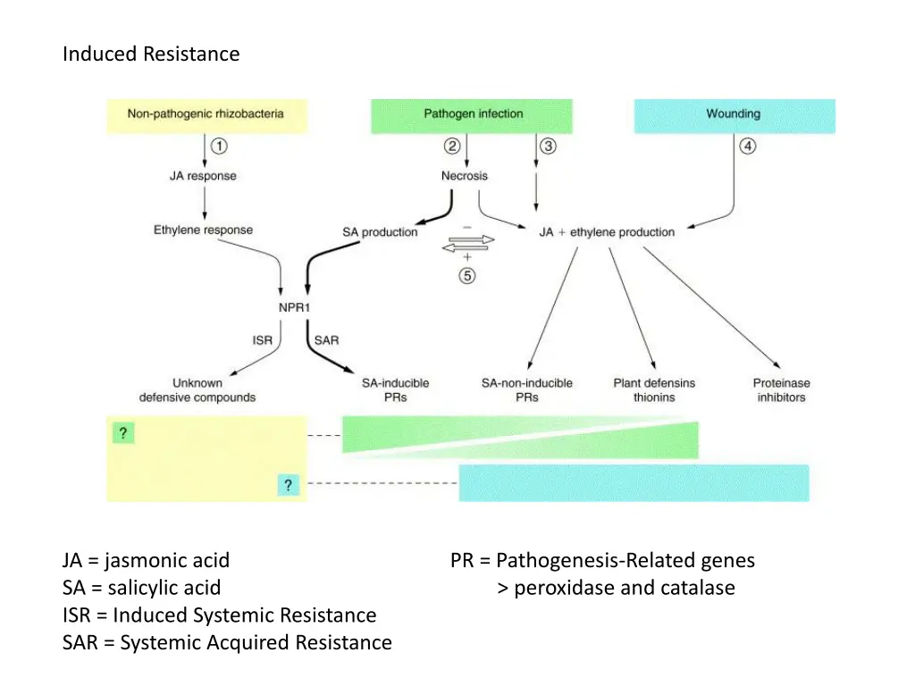 induced resistance